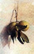 Benedito Calixto Guava oil painting on canvas